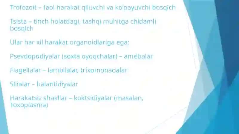 Sodda jonivorlar keltirib chiqaruvchi kasalliklar va ularning diagnostikasi 4