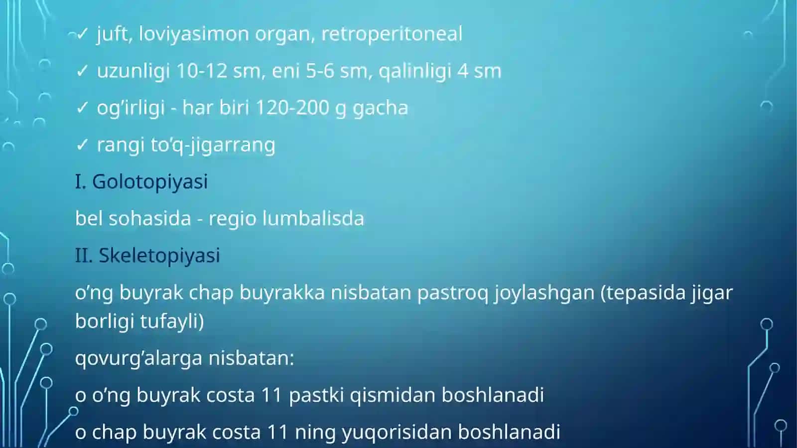 systema urinariya 4