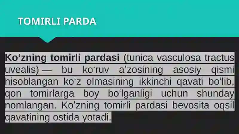 TOMIRLI PARDA 4