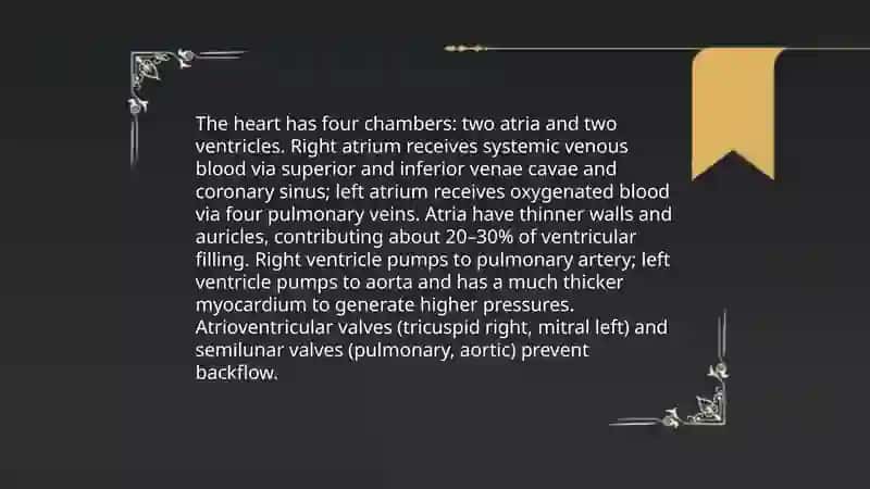 Heart 4