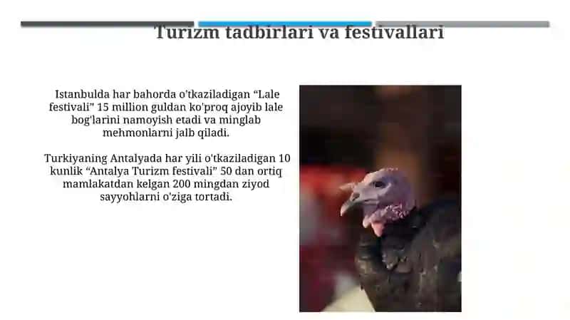 Turkiya davlatining ommoviy tadbirlari 4