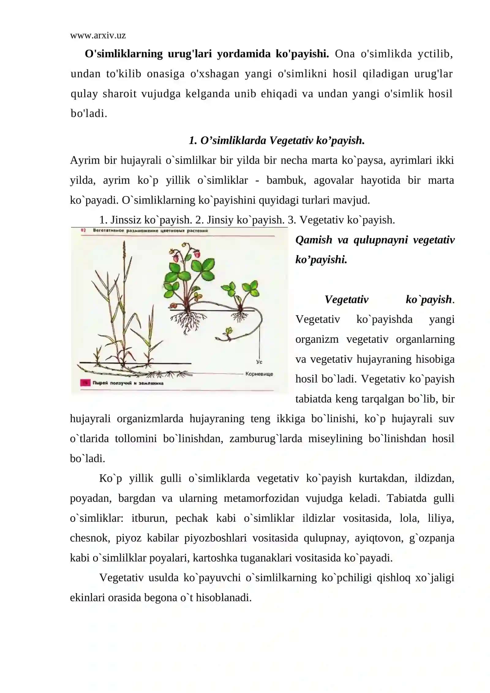 O’simliklar ko’payish fiziologiyasi 4