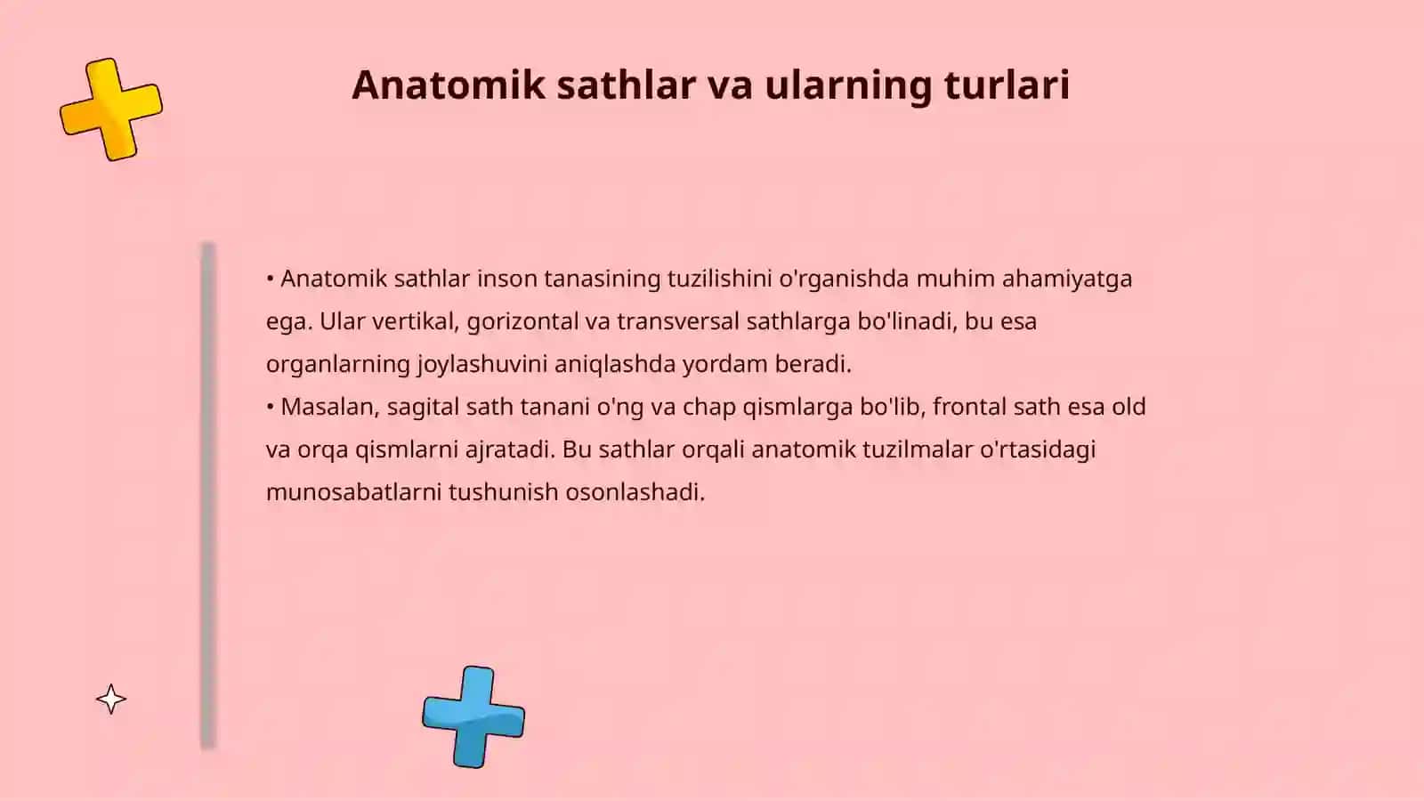 Anatomik terminologiya 4
