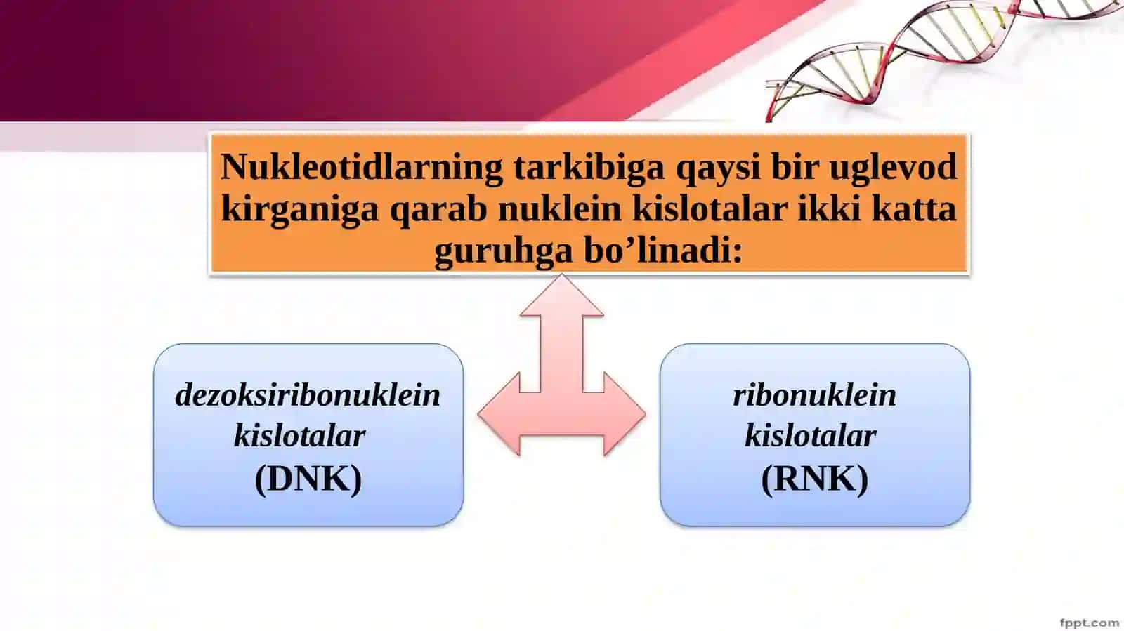 Nuklein kislotalar va irsiy belgilarni nasldan-naslga o‘tishdagi roli 4