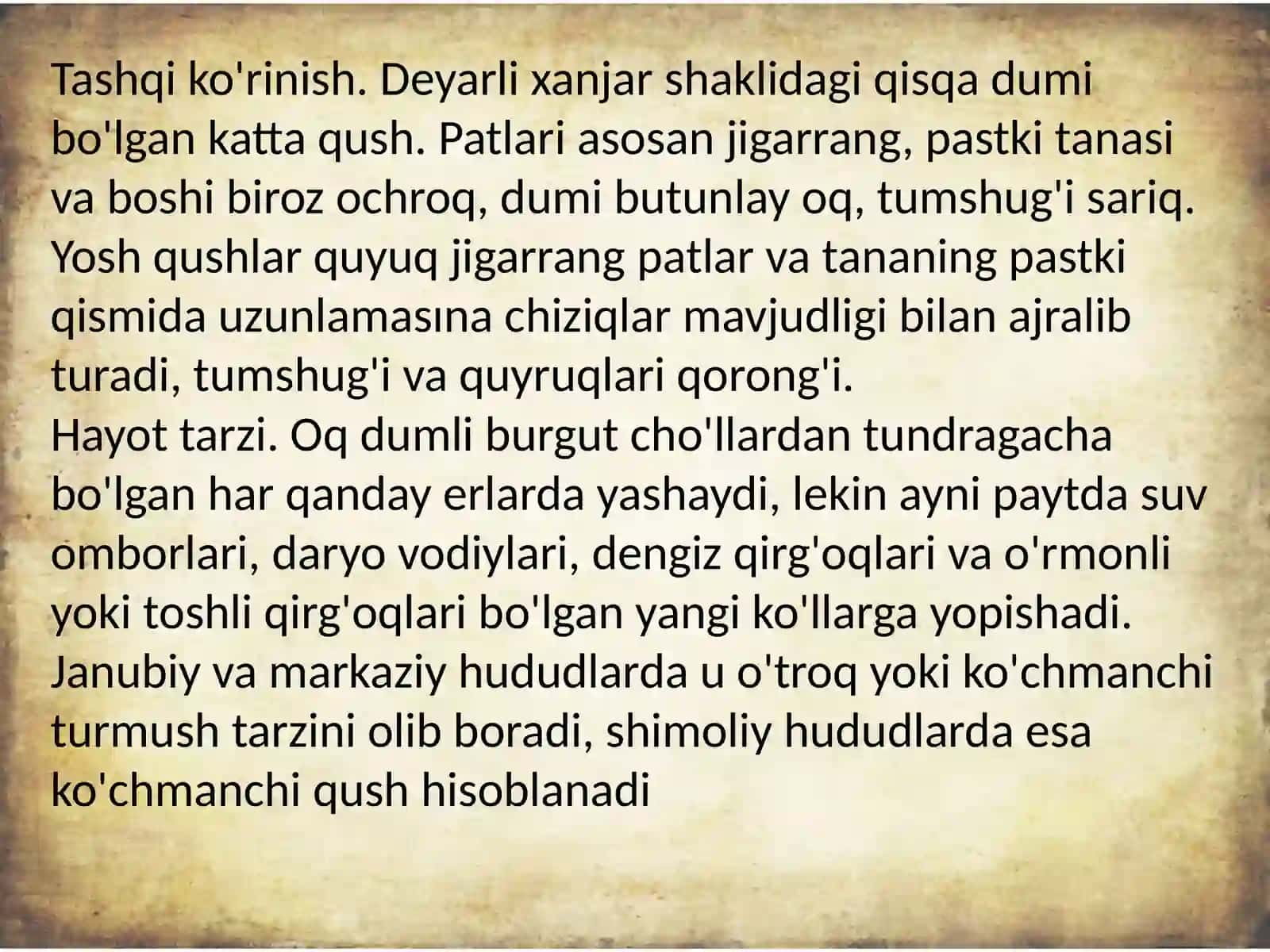 Oq dumli burgut, Haliaeetus albicilla 4
