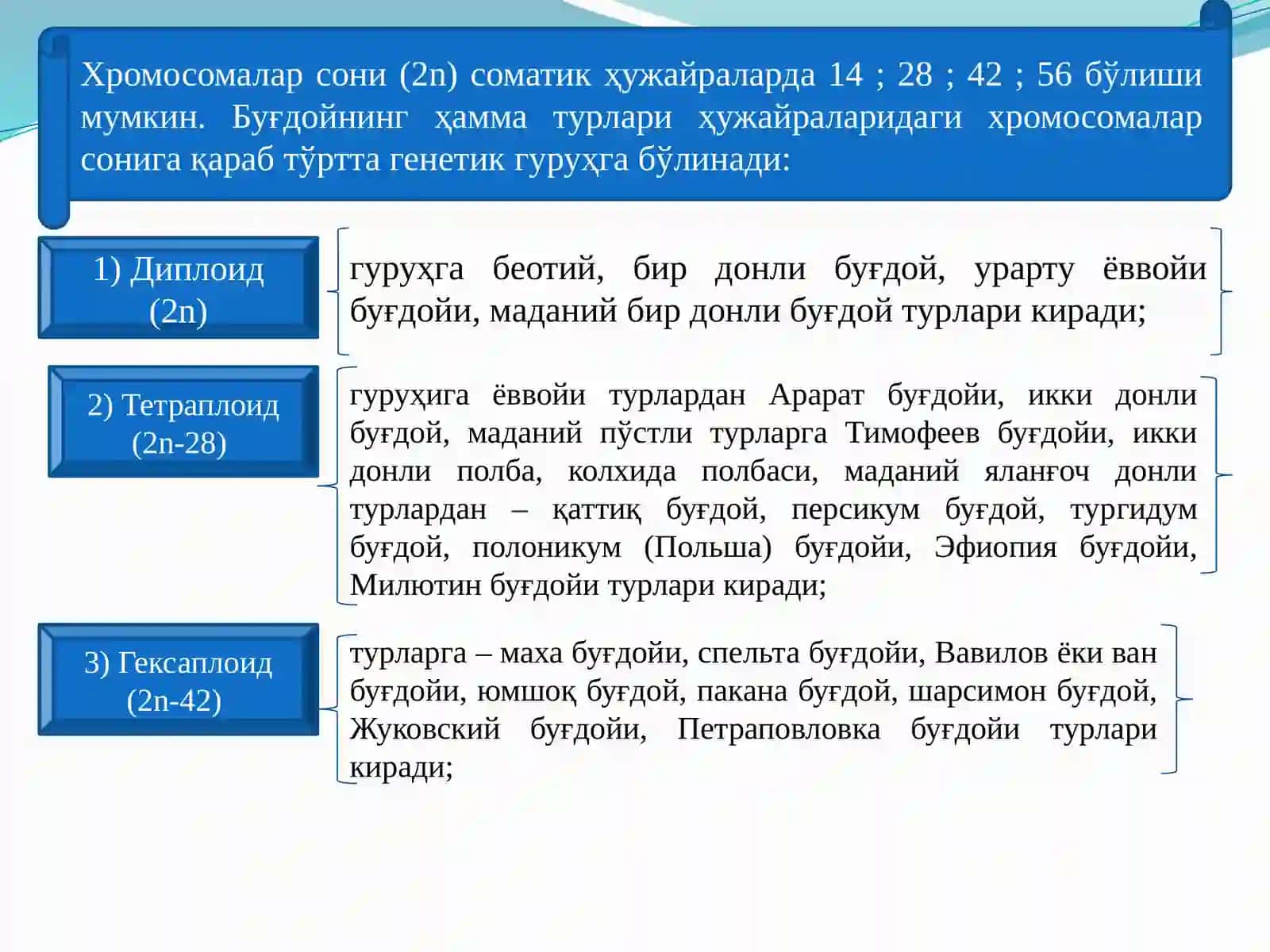 Буғдой систематикаси 4