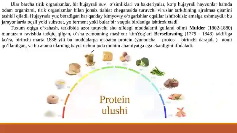 Oqsillarning Fizika va Kimyoviy Xususiyatlari 4