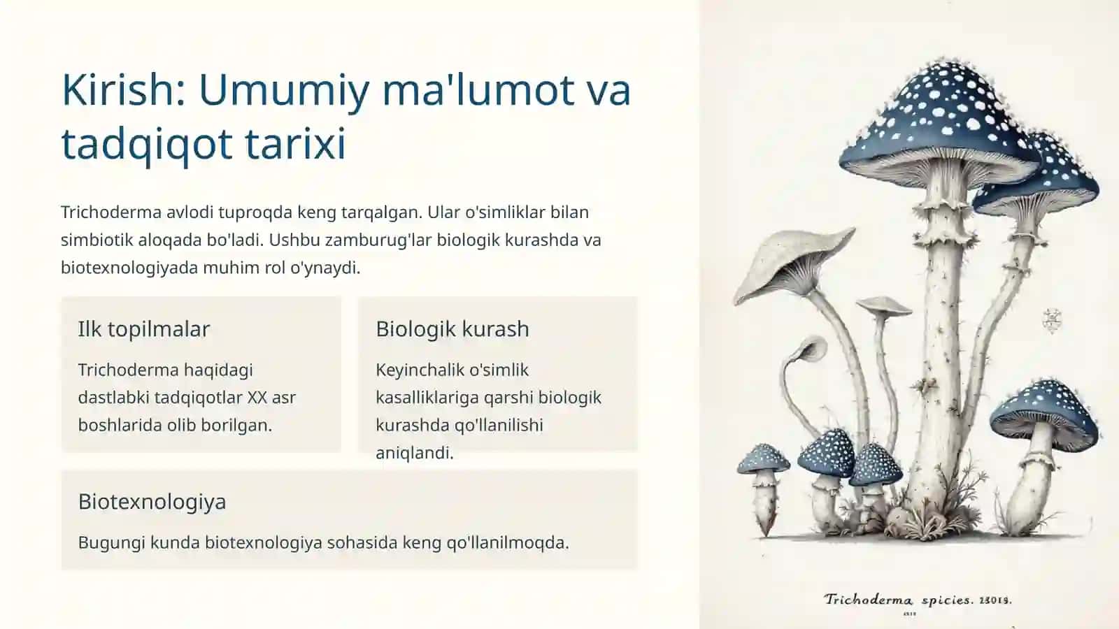 Trixoderma zamburugʻi biologiyasi 4