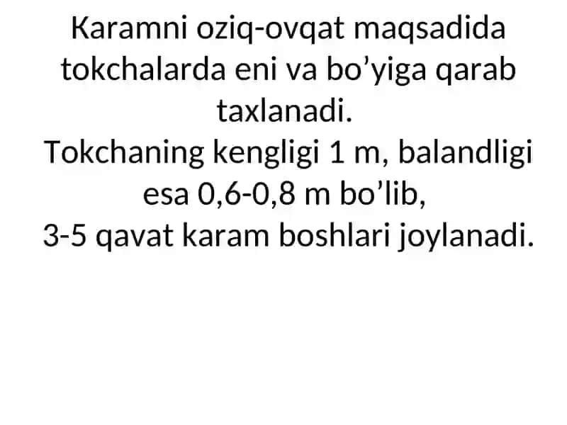MEVA-SABZAVOT VA KARTOSHKA OMBORLASH 4