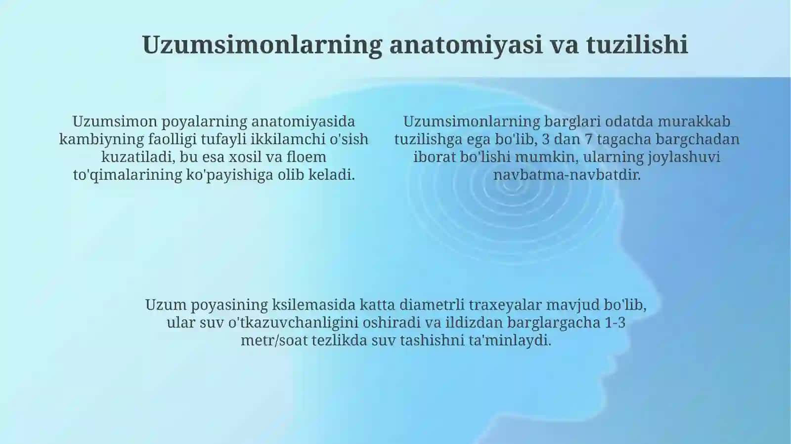 Uzumlar 4