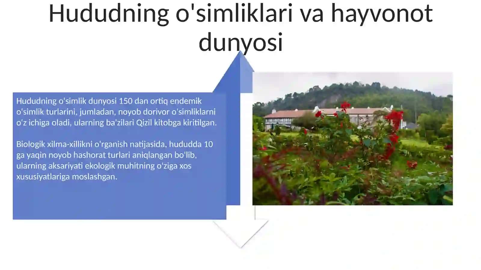 O’lka o’simlik va hayvonot dunyosini o’rganish 4
