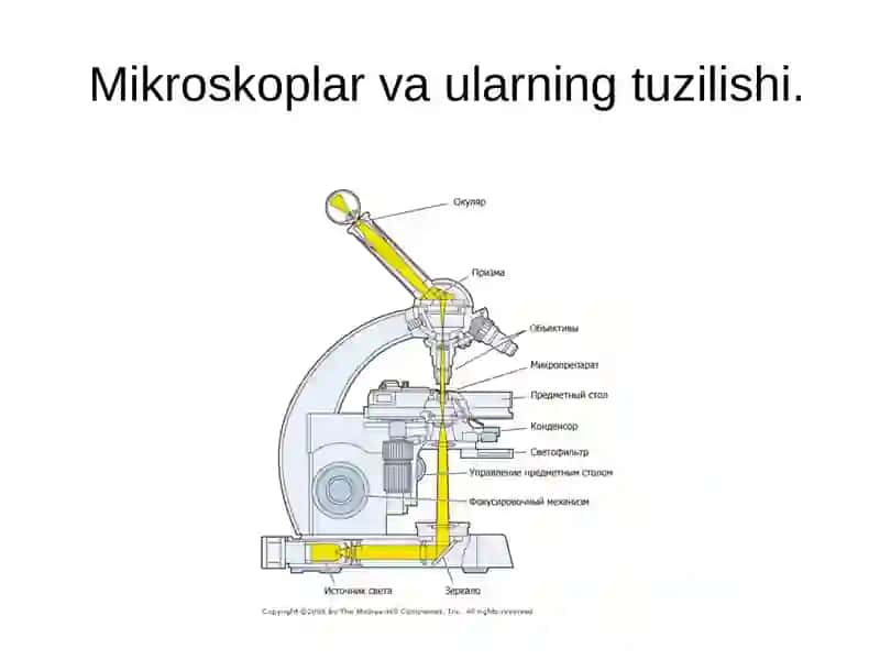 Bakteriologik, virusologik va immunologik laboratoriyalarda ishlash qoidalari 4