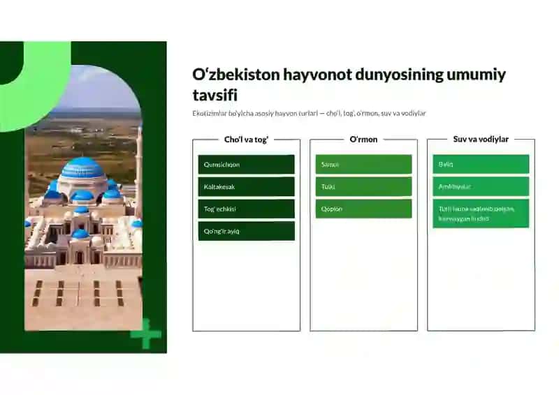 Ta'limda ijtimoiy tarmoqlarning ma'noli qo'llanishi 4