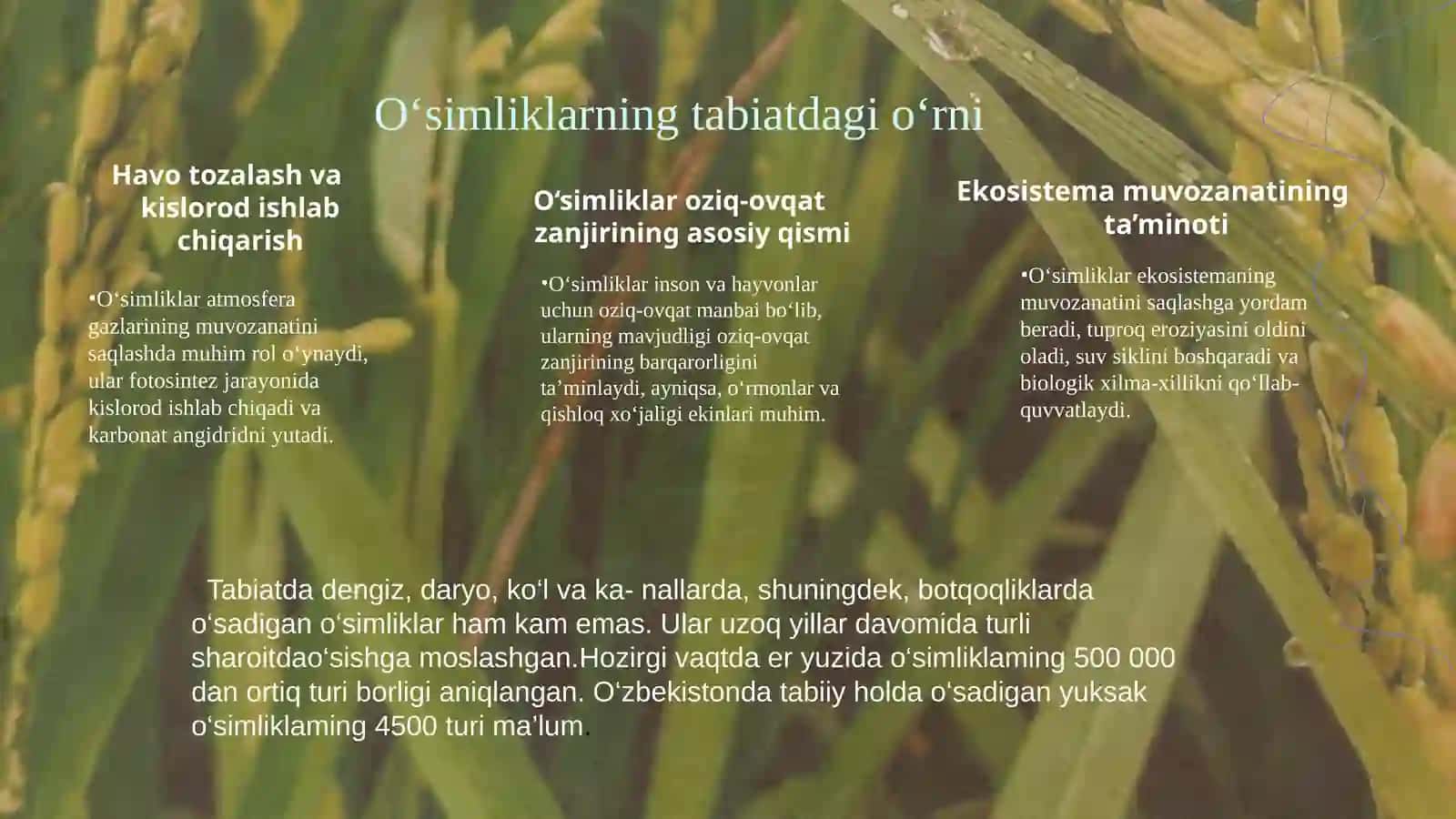 O‘simliklarni muhofaza qilish va ularning ahamiyati 4