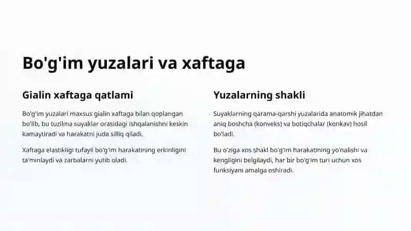 Bo'g'imlarning Umumiy Tuzilishi 4