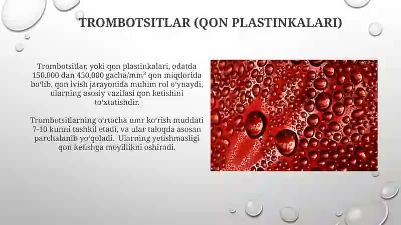Qon fiziologiyasi va uning funktsiyalari bilan tanishish 4