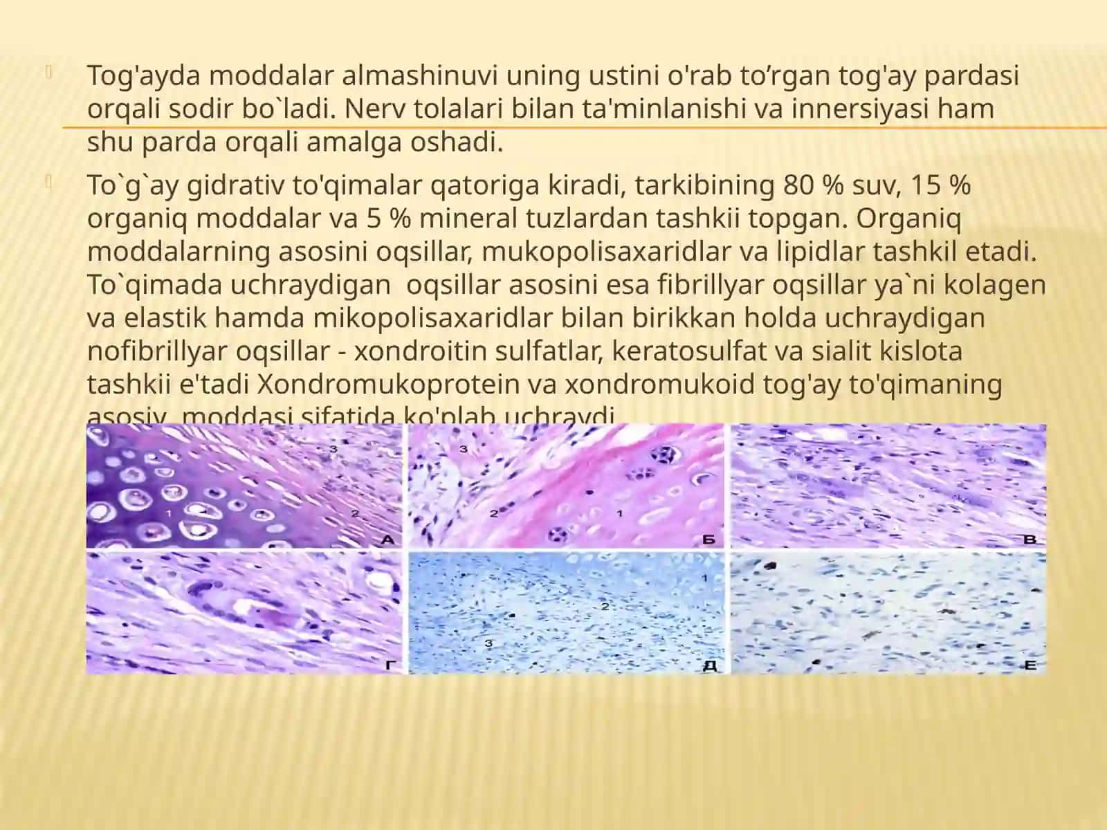 Tog`ay to`qimasi, uning gistologik tuzilishi va tiplari 4