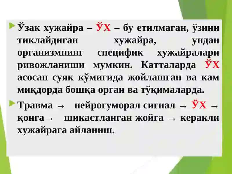 ПАТОЛОГИК ФИЗИОЛОГИЯМаъруза № 2: «ХУЖАЙРАШИКАСТЛАНИШИПАТОФИЗИОЛОГИЯСИ» 4