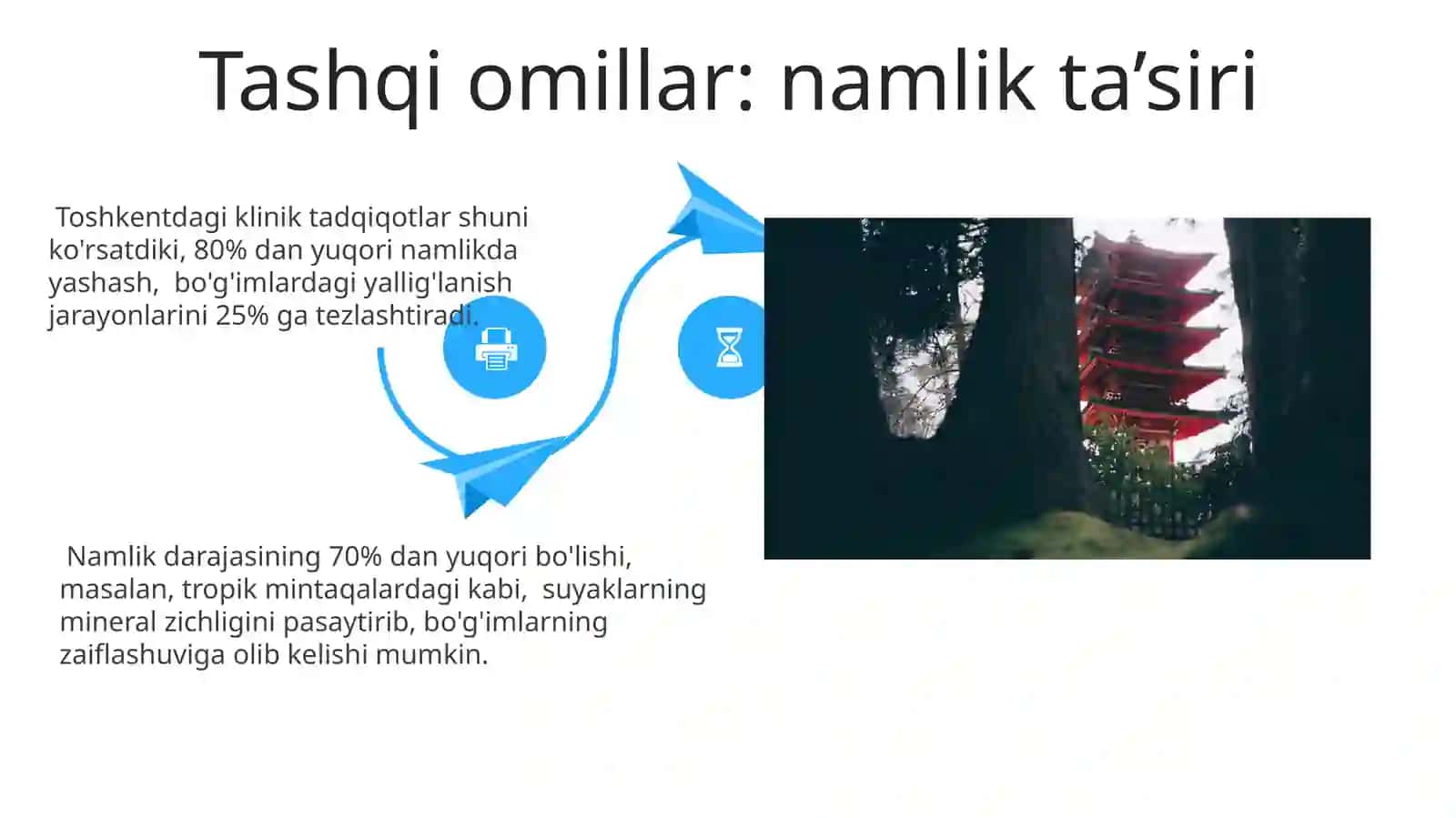 Boʻgʻimlarning tuzilishiga tashqi va ichki faktorlarni ta'siri 4