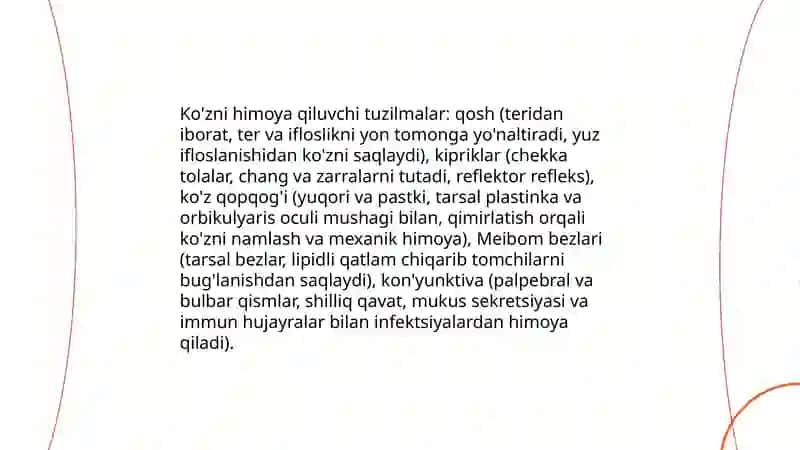 Inson ko’rish analizatorlari anatomiyasi va fiziologiyasi 4