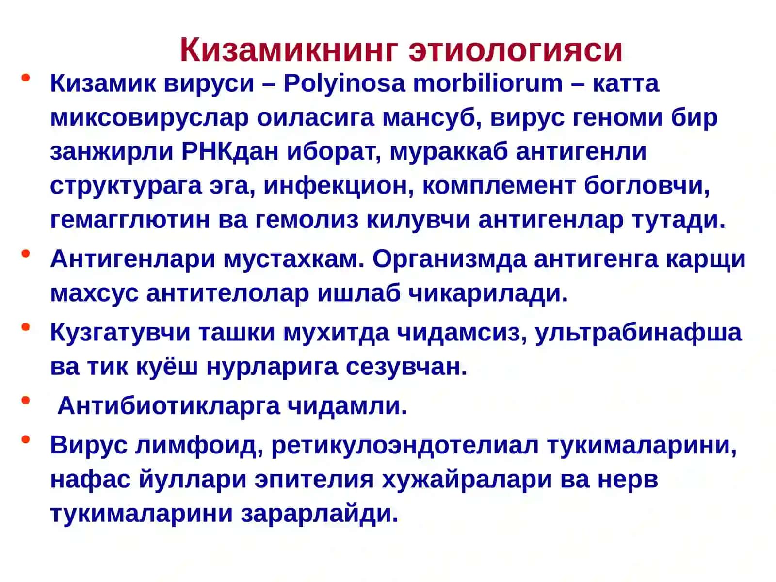 КИЗАМИК 4