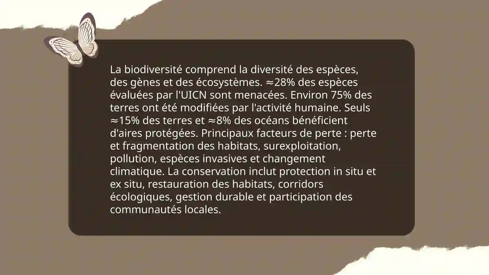 Environnement 4