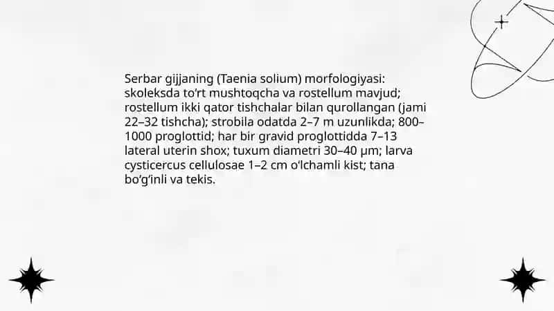 Odamda parazitlik qiluvchi lentasimonlar 4