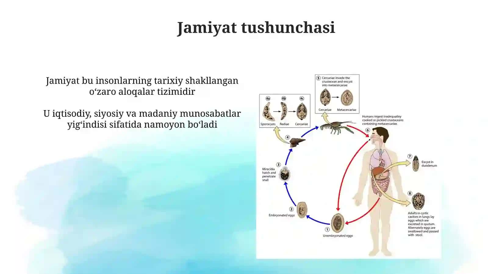 Jamiyat falsafasi 4