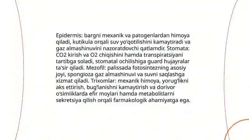 Dorivor oʻsimliklar barg vazifasi va tuzilishi, tiplari va ularning insonlar hamda qishloq xoʻjaligidagi ahamiyati 4