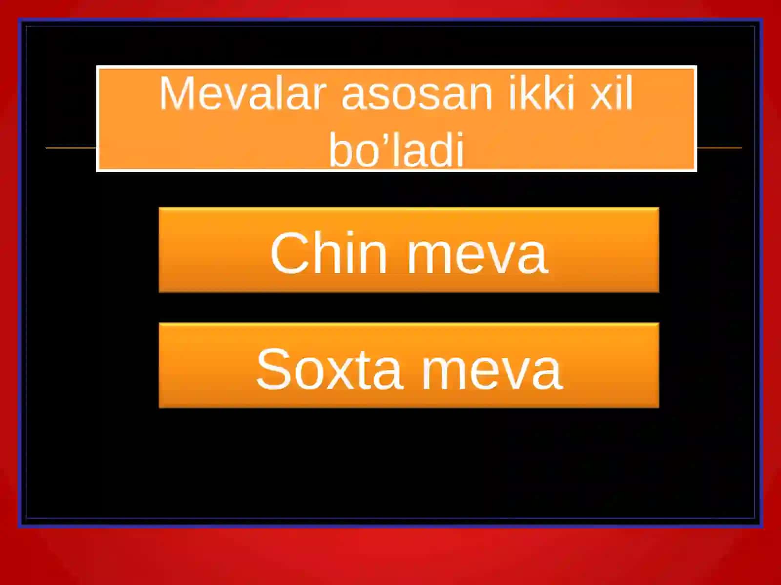 Meva 4