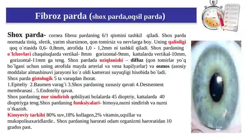 КO`RUV A`ZOLARININGКLINIKАNATOMIYASI VA FIZIOLOGIYASI 4