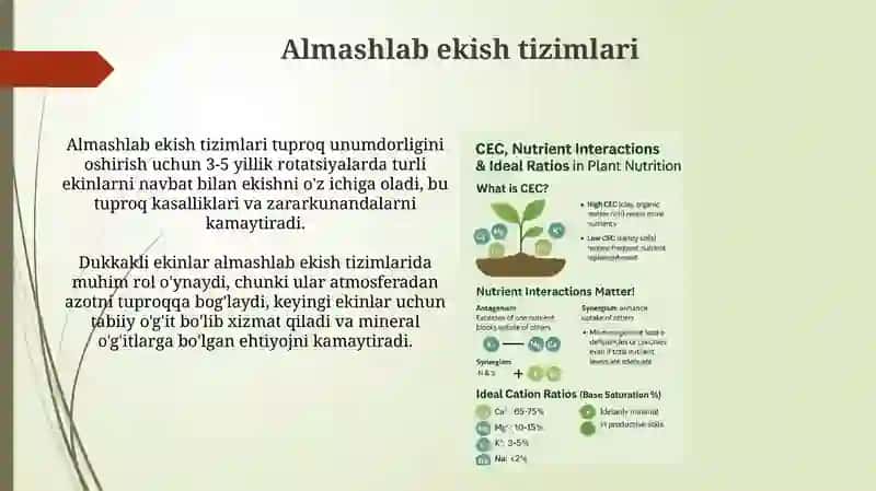 Tuproq unumdorligi va strukturasini yaxshilashga qaratilgan agrotexnik tadbirlar 4