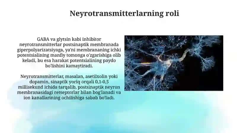 NERV IMPULSLARI HOSIL BOʻLISHI,SINAPTIK OʻTKAZILISHINING MOLEKULYAR MEXANIZMLARI 4
