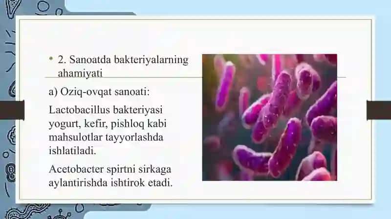 Bakteriyalarning sanoat va qishloq  xo‘jaligida ahamiyati 4