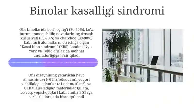 Ofis Ergonomikasi va Mushak-Skelet Buzilishlari 4