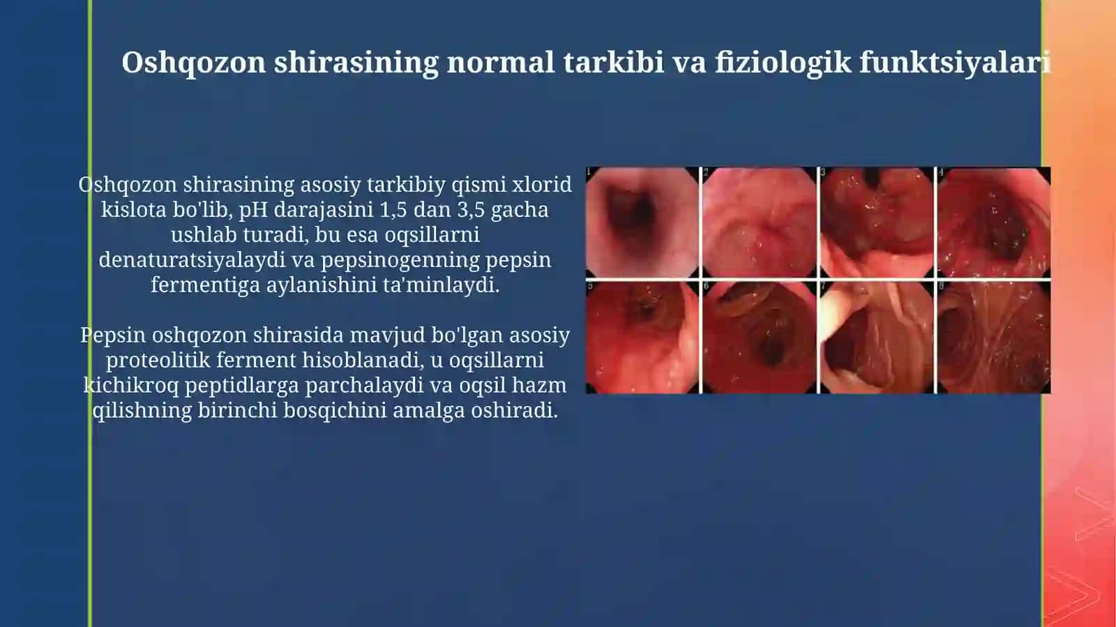 Oshqozon shirasini interpritatsiyasi 4