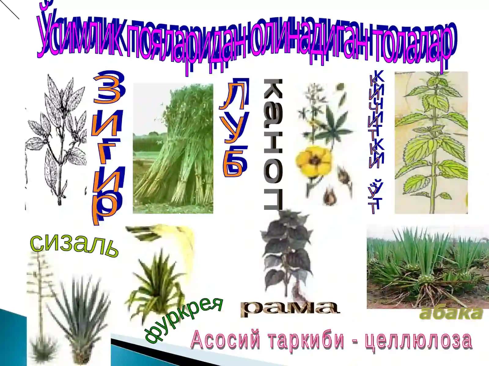 Луб,зиғир вакимёвий толалардан ип йигириш 4