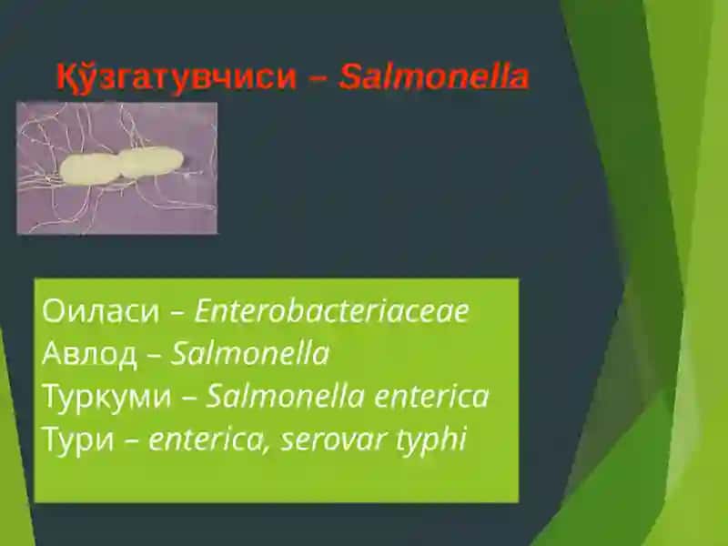 ҚОРИН ТИФИ ВАПАРАТИФЛАР эпидемиологияси ва профилактикаси 4