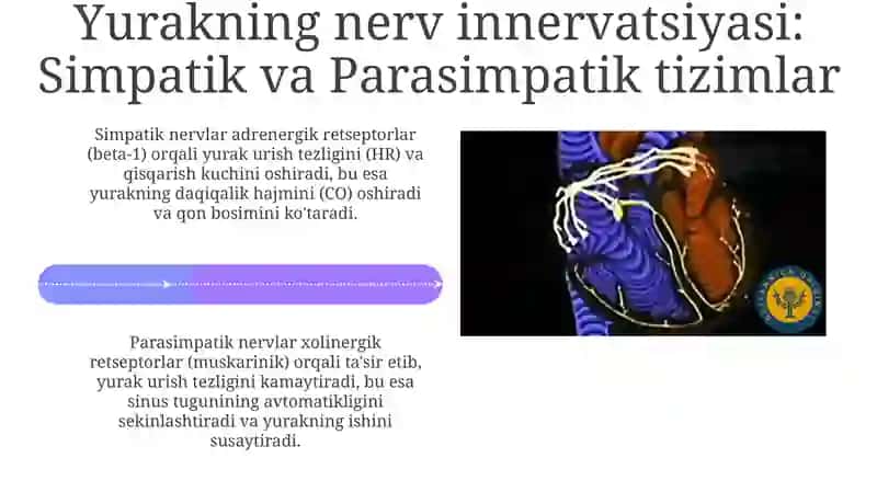 Yurak faoliyatini boshqarish 4