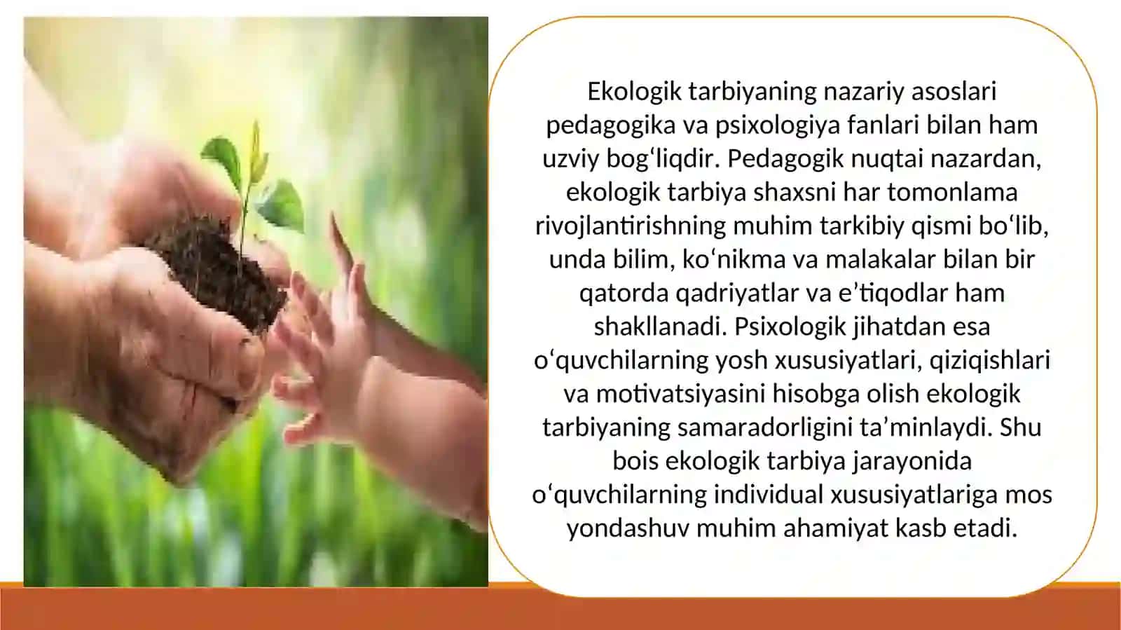 Ekologik tarbiya 4