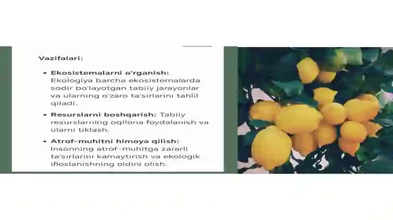 Ekologiya va atrof-muhitni muhofaza qilish 4