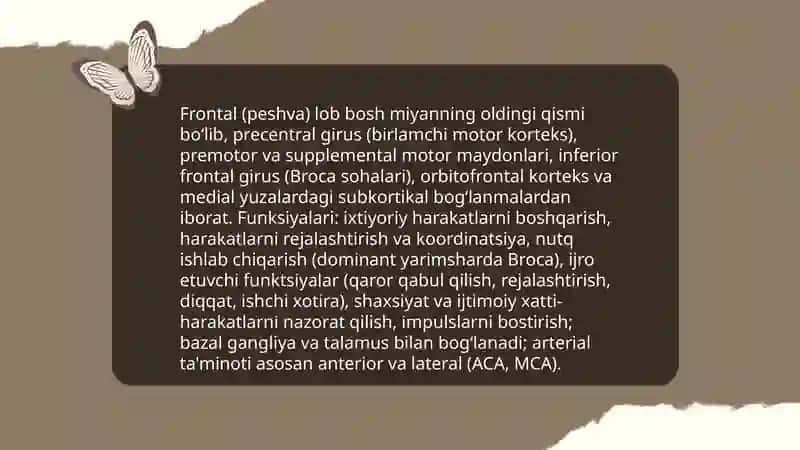 Katta yarim sharlarning tuzilishi 4