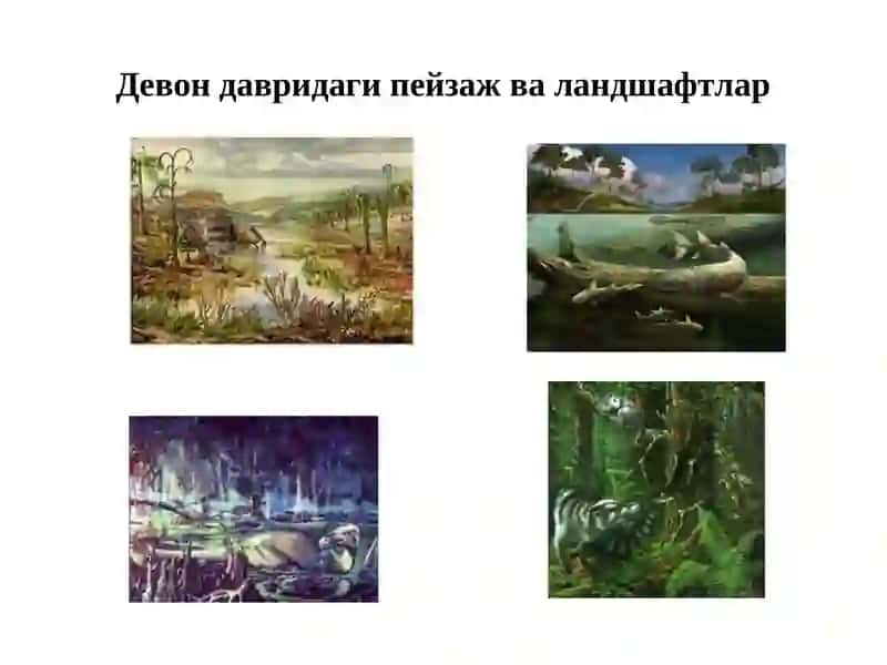 Қирқбўғимтоифа ўсимликлар (Equisetophyta) бўлими 4