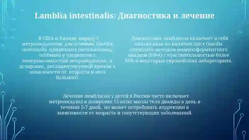 Сравнительный анализ 4