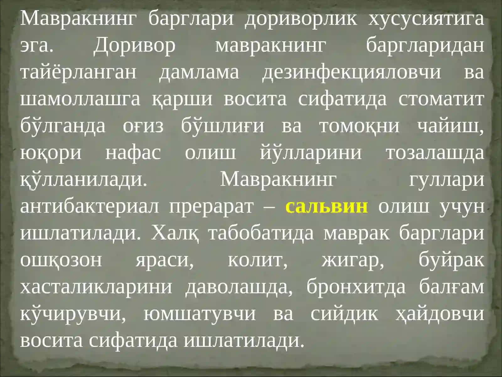 МАВРАК (ШАЛФЕЙ) КАСАЛЛИКЛАРИ ВА УЛАРГА ҚАРШИ КУРАШ ЧОРАЛАРИ 4