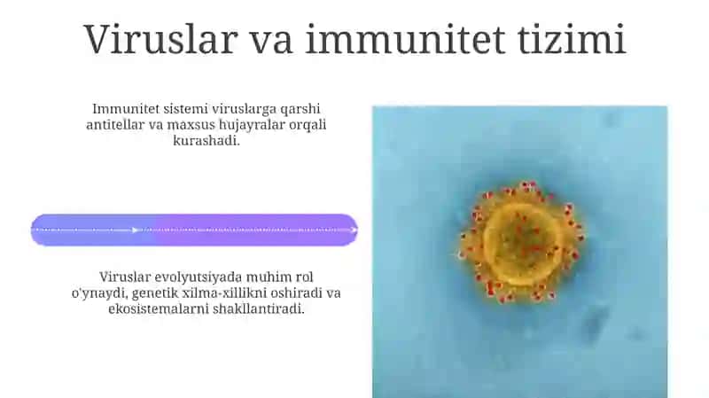 Viruslar va ularning ahamiyati 4