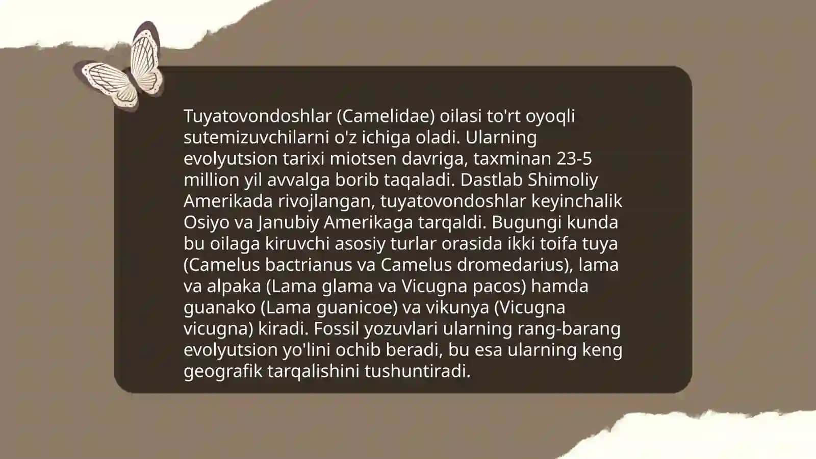 o'simliklarning tuyatovondoshlar oilasi 4