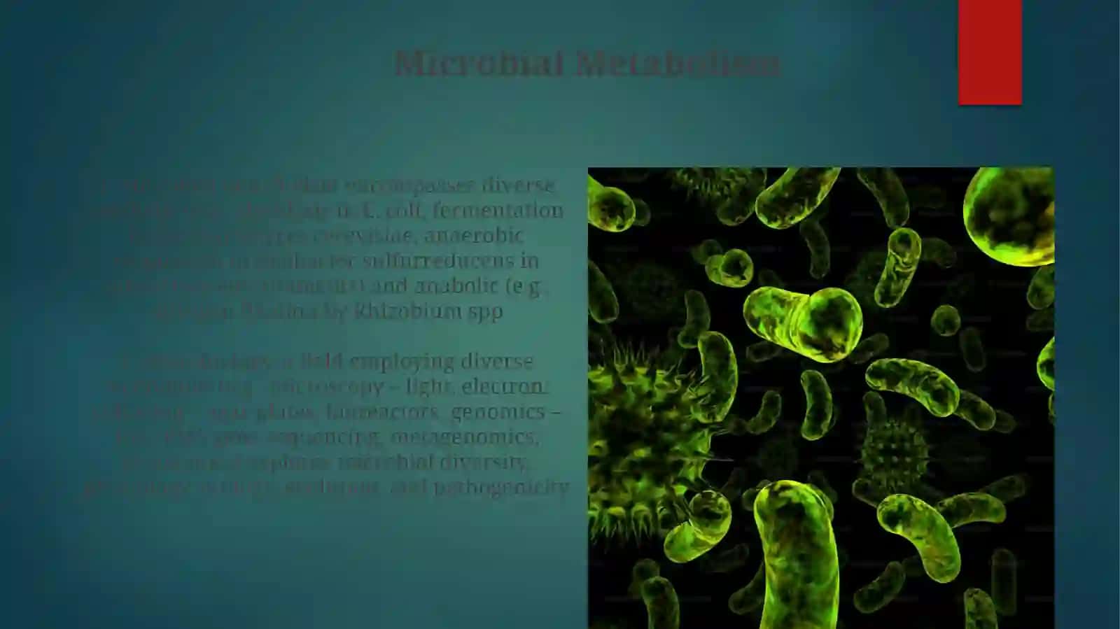 Microbial Ecology 4