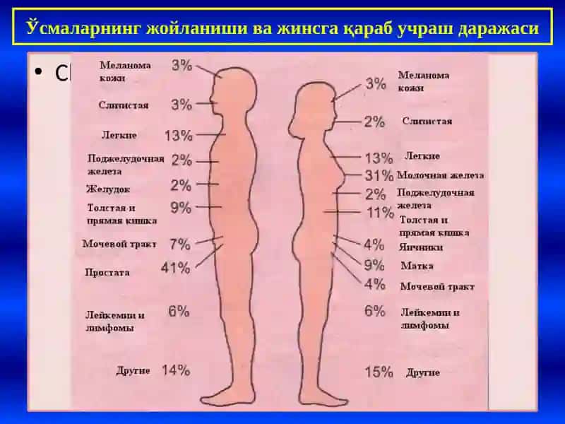 Усмалар хакида умумий тушунча 4