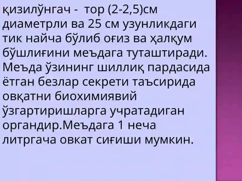 Овқат хазм қилиш системасини текшириш 4